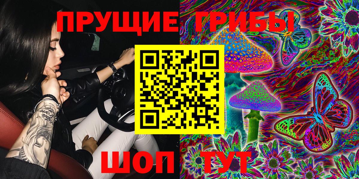 Галлюциногенные грибы Cubensis  Галлюциногенные грибы прущие грибы  Родники  Вход с VPN 